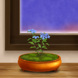 BONSAI NFT FARM #7711