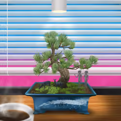 BONSAI NFT FARM #5101
