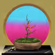 BONSAI NFT FARM #1731