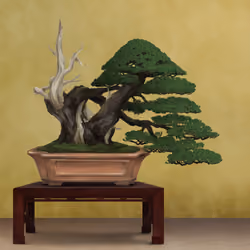 BONSAI NFT FARM #666