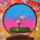 2637