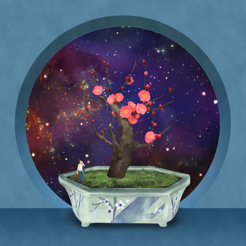 BONSAI NFT FARM #1156