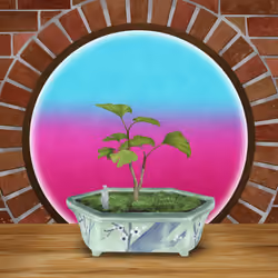 BONSAI NFT FARM #4484
