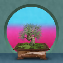 BONSAI NFT FARM #3483