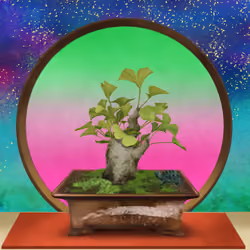 BONSAI NFT FARM #4116