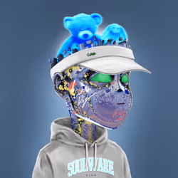 Soulware #424