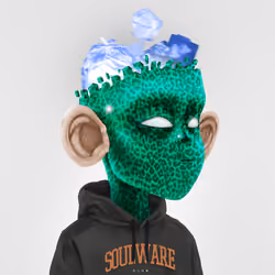 Soulware #1147