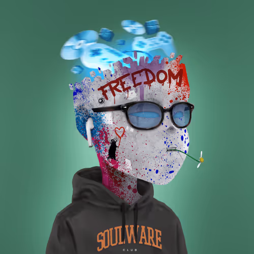 Soulware Project