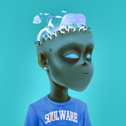 Soulware #1666