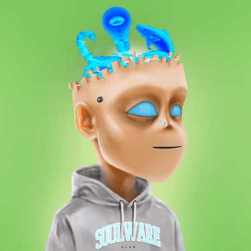 Soulware Project