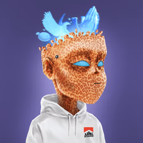 Soulware Project