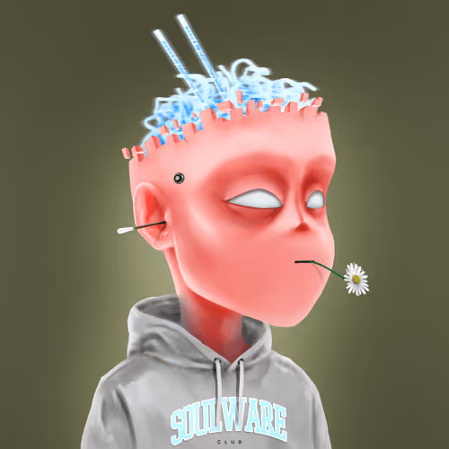 Soulware Project