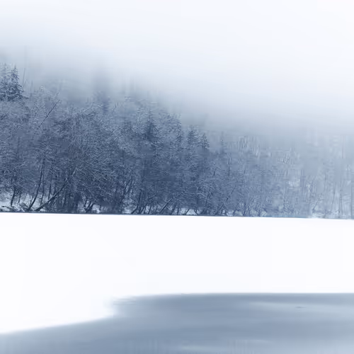Silence Of Snow