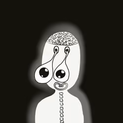 27