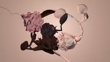 A Rose By Any Other Name By Kamilia Kard
