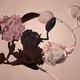 A Rose by Any Other Name #28
