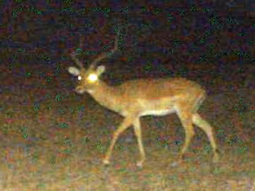 Item #4237351900362484979393738734188218512814611599551146591211431512871878215211 Media