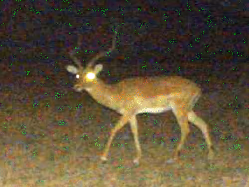 Item #4237351900362484979393738734188218512814611599551146591211431512871878215191 Media