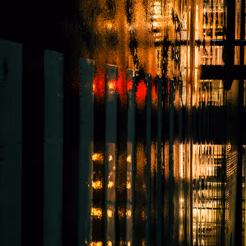 Kyoto Raindrops