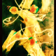 ABSTRACT ONE V2
