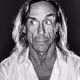 Icon #47 - IGGY POP