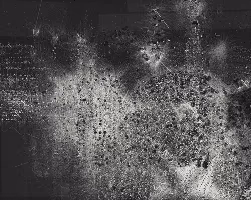 Item #3135992164 Media