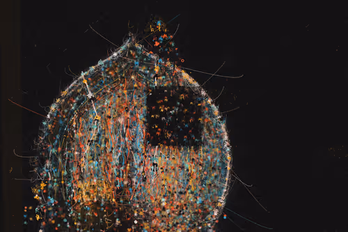 Item #1300425331 Media