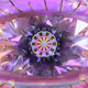 16700030036