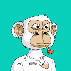 Bored Ape Teen Club #8243