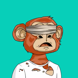 Bored Ape Teen Club #4241