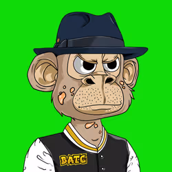 Bored Ape Teen Club #9147