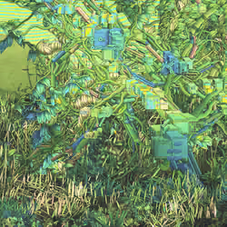 The Wild Side Art #249