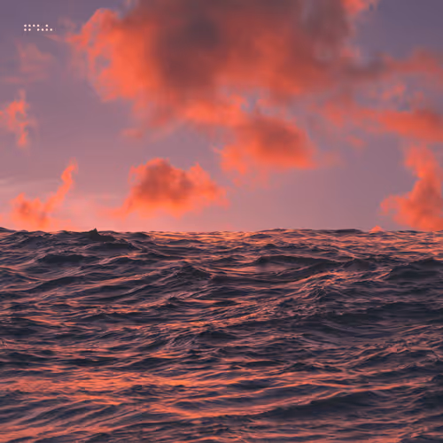 Item #64800020023 Media