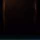 100300029