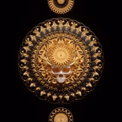 7