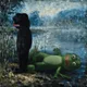 Frog pepe shadow reflection 