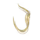 79