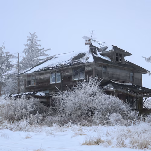 The Homes We Left Behind #10