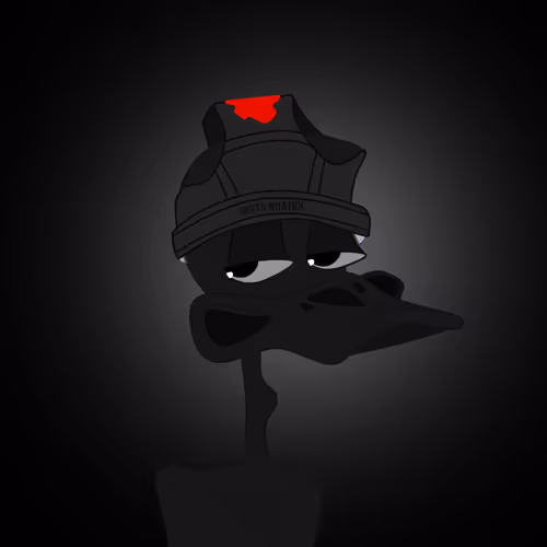 Black Ducks #1194
