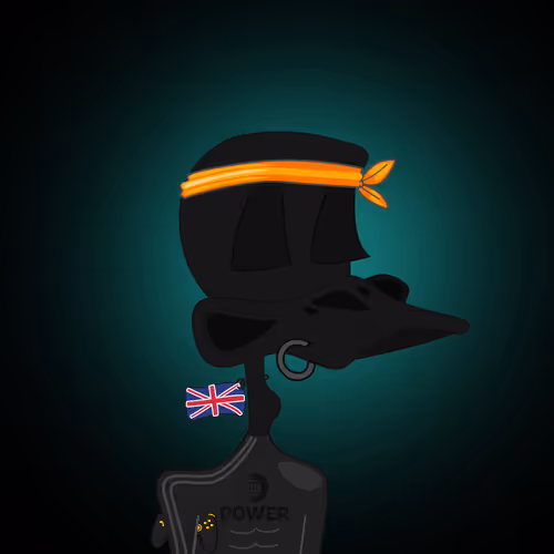 Black Ducks 426959304
