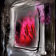 PORTALS