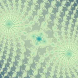 #1518 - Shallow Mint Attractor (A)