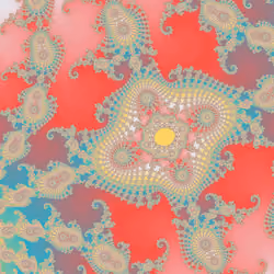 #1923 - Shallow Fashion Attractor (B)