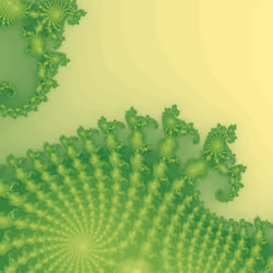 #1349 - Profound Kiwi Attractor (A)