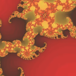 #1660 - Shallow Lava Coral (A)