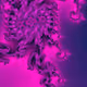365