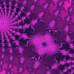 #1902 - Shallow Space Attractor (A)