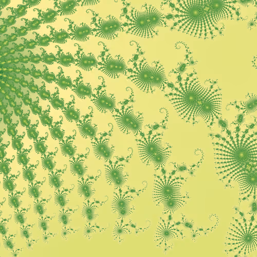 #934 - Profound Kiwi Attractor (B)