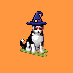 Hilarious Huskies 121