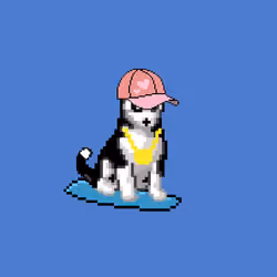 Hilarious Huskies 148